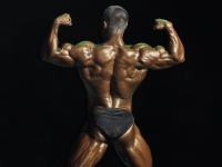 bodybuilding-proform-classic-2014_50