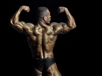 bodybuilding-proform-classic-2014_53