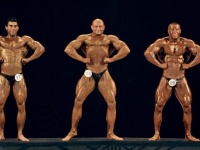 bodybuilding-proform-classic-2014_60