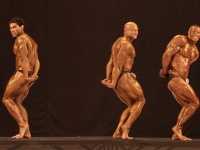 bodybuilding-proform-classic-2014_61