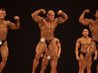 bodybuilding-proform-classic-2014_63