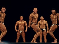 bodybuilding-proform-classic-2014_67