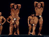 bodybuilding-proform-classic-2014_69