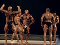 bodybuilding-proform-classic-2014_71