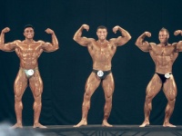 bodybuilding-proform-classic-2014_98