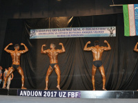 uzfbf_andijan_bodybuilding_fitness_championships_2017_0111