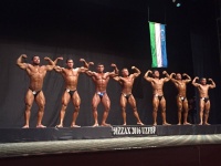 jizzax_open_bodybuilding_uzfbf_2016_20015