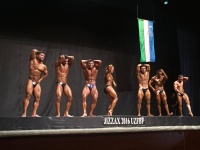 jizzax_open_bodybuilding_uzfbf_2016_20024