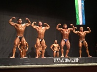 jizzax_open_bodybuilding_uzfbf_2016_20027