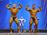 uzfbf_jizak_bodybuilding_fitness_championships_2017_0087