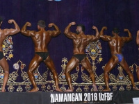 uzfbf_namangan_2016_bodybuilding_and_fitness_0111