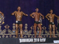 uzfbf_namangan_2016_bodybuilding_and_fitness_0146