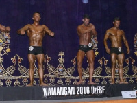 uzfbf_namangan_2016_bodybuilding_and_fitness_0148
