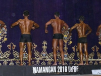 uzfbf_namangan_2016_bodybuilding_and_fitness_0150