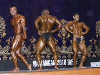 uzfbf_namangan_2016_bodybuilding_and_fitness_0184