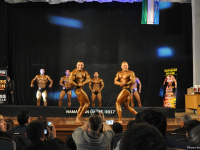 uzfbf_namangan_bodybuilding_fitness_championships-2017_0105