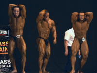 uzfbf_tashkent_cup_2016_bodybuilding_and_fitness_0433