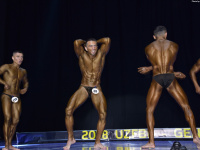 uzbekistan_gi_bodybuilding_fitness_championship_2018_uzfbf_0196