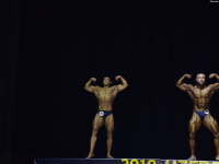 uzbekistan_gi_bodybuilding_fitness_championship_2018_uzfbf_0445