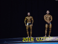 uzbekistan_gi_bodybuilding_fitness_championship_2018_uzfbf_0476