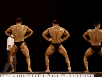 uzfbf_tashkent_cup_bodybuilding_fitness_championships_2017_0287