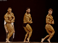 uzfbf_tashkent_cup_bodybuilding_fitness_championships_2017_0357