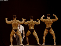 uzfbf_tashkent_cup_bodybuilding_fitness_championships_2017_0358