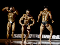 uzfbf_tashkent_cup_bodybuilding_fitness_championships_2017_0365