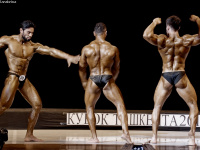 uzfbf_tashkent_cup_bodybuilding_fitness_championships_2017_0367