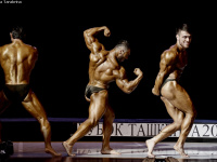 uzfbf_tashkent_cup_bodybuilding_fitness_championships_2017_0369