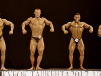 uzfbf_tashkent_cup_bodybuilding_fitness_championships_2017_0470