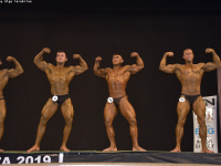 tashkent-cup_bodybuilding_fitness_2019_uzfbf_0431