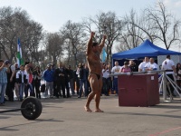 strongman-201200172