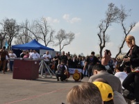 strongman-201200173