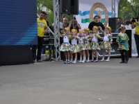 strongman-proform-201300038