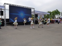 strongman-proform-201300042