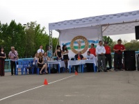 strongman-proform-201300047