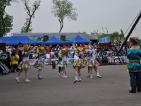 strongman-proform-201300050