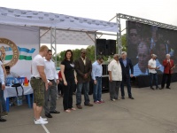 strongman-proform-201300062