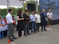 strongman-proform-201300107