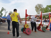 strongman-proform-201300182