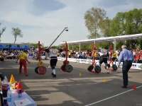 strongman-proform-201300202
