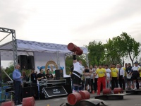strongman-proform-201300291