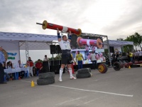 strongman-proform-201300293
