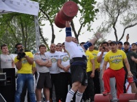 strongman-proform-201300297