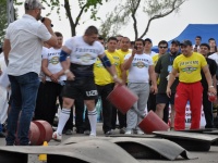strongman-proform-201300300