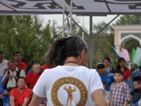strongman-proform-201300307