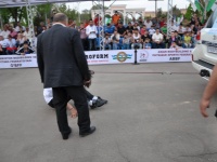 strongman-proform-201300308