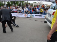strongman-proform-201300311