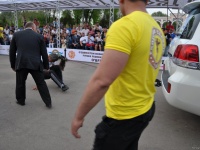 strongman-proform-201300312